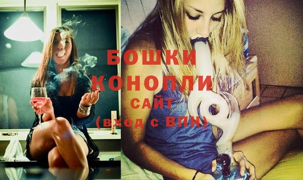 Альфа ПВП Белая Холуница