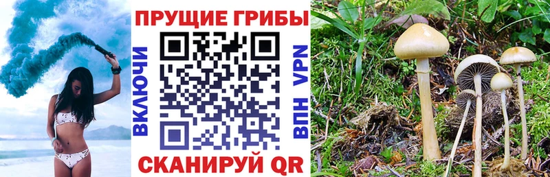 Псилоцибиновые грибы MAGIC MUSHROOMS  Купить где  Гусиноозёрск 